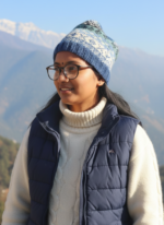 Fair Isle Nordic Blue Beanie